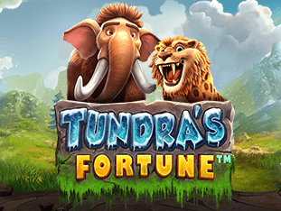 Tundra's Fortune thumbnail