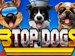 3 ٹاپ ڈاگس thumbnail